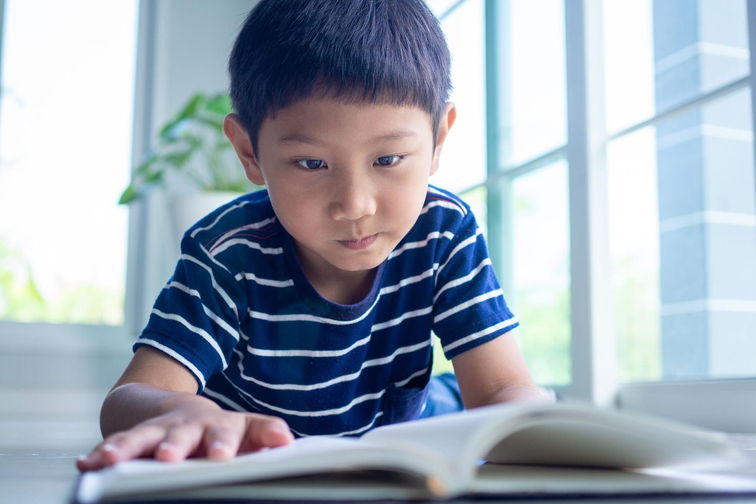 boy reads book at home